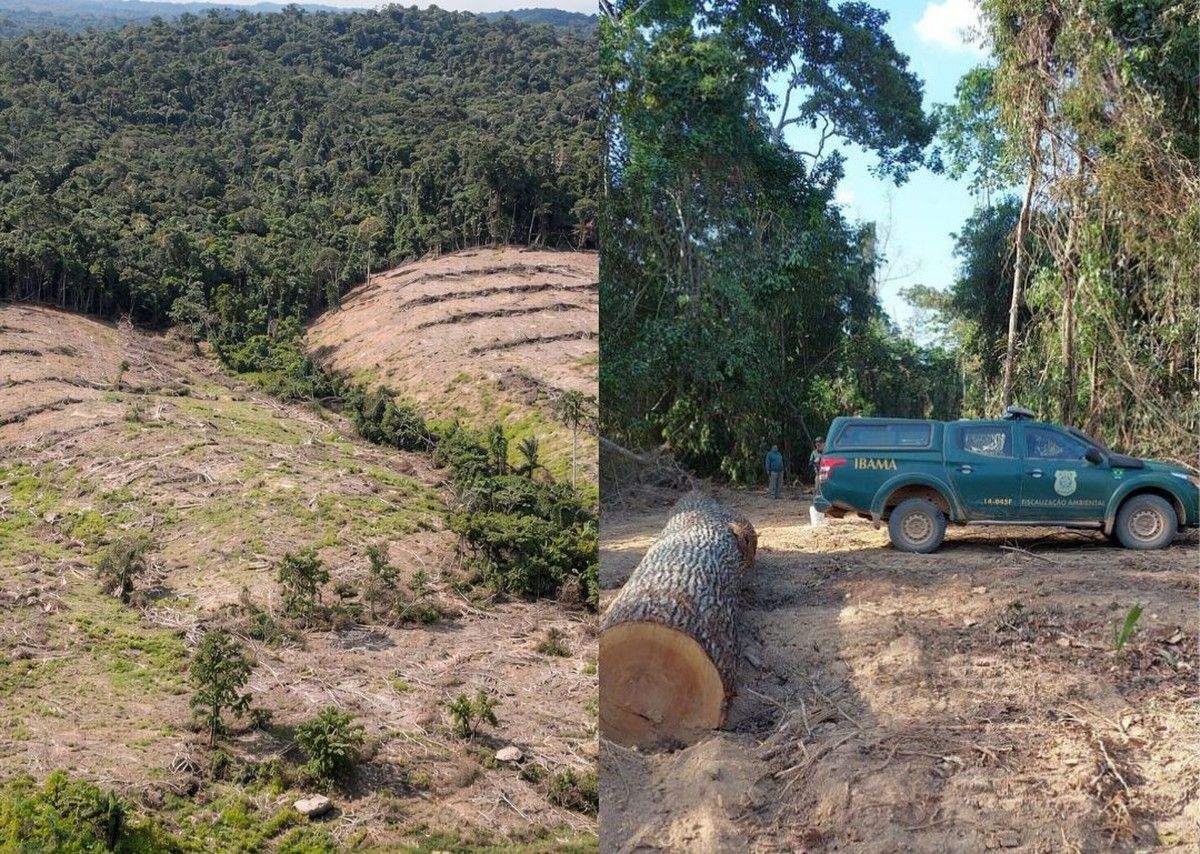 Operação Metaverso I embarga 1.627 hectares e aplica R$ 5 mi em multas no sudeste do Pará