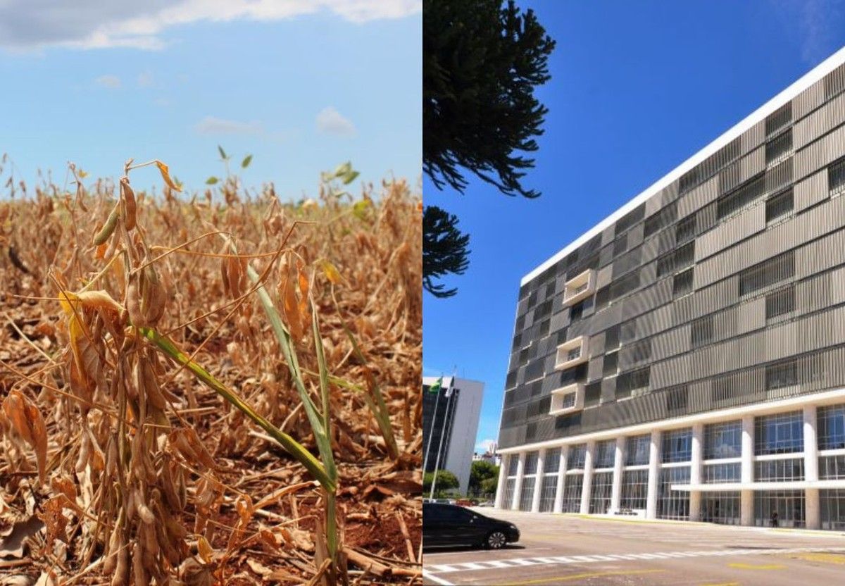 Justiça do Paraná suspende exigibilidade dívida milionária e impede consolidação fiduciária de propriedades