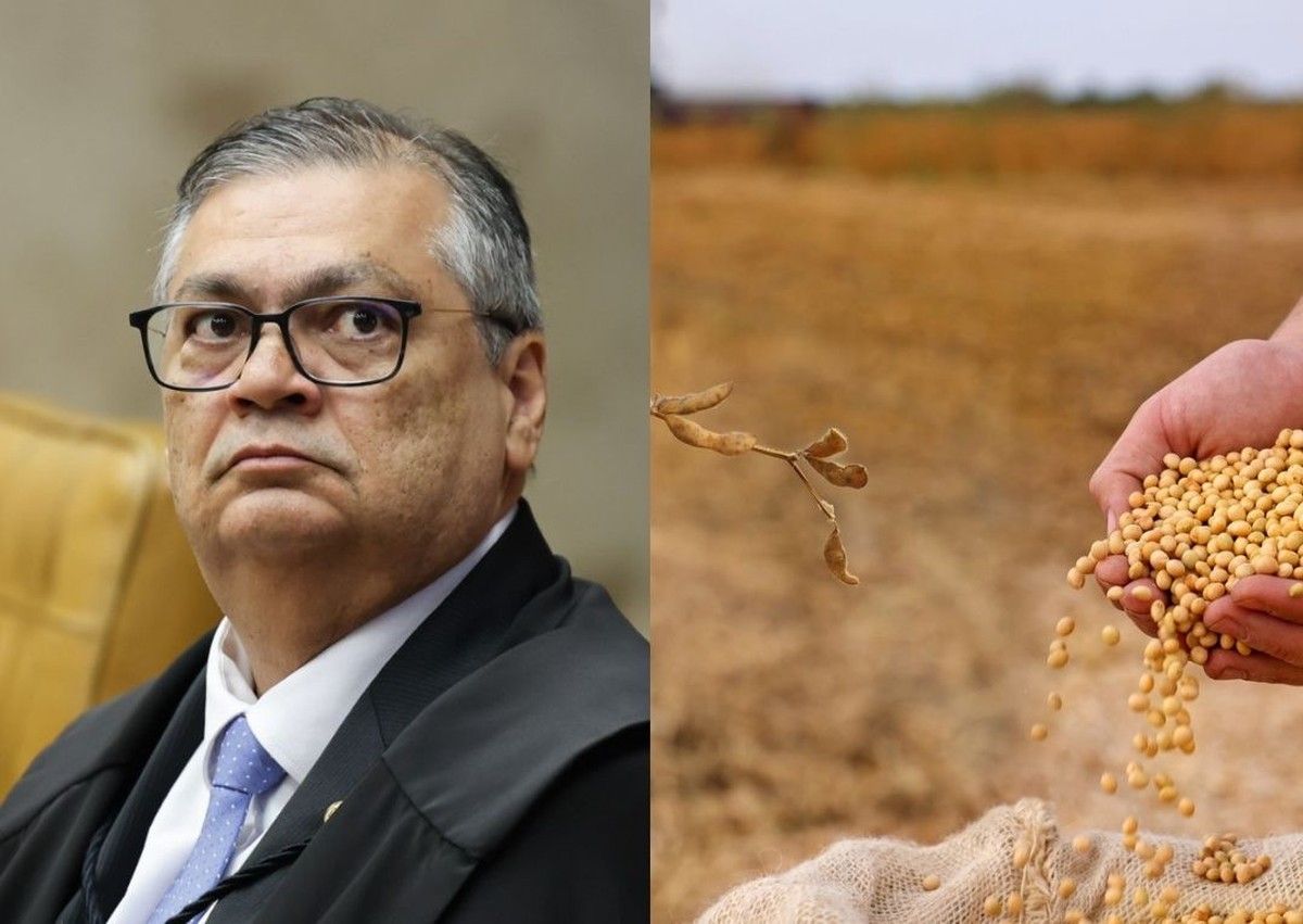 STF retomará nesta quarta julgamento que suspendeu a Moratória da Soja