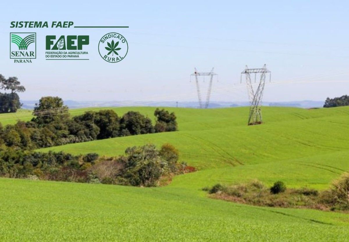 FAEP pede revogação de lei que transfere ao produtor rural obrigação de manejo de árvores próximas à rede elétrica