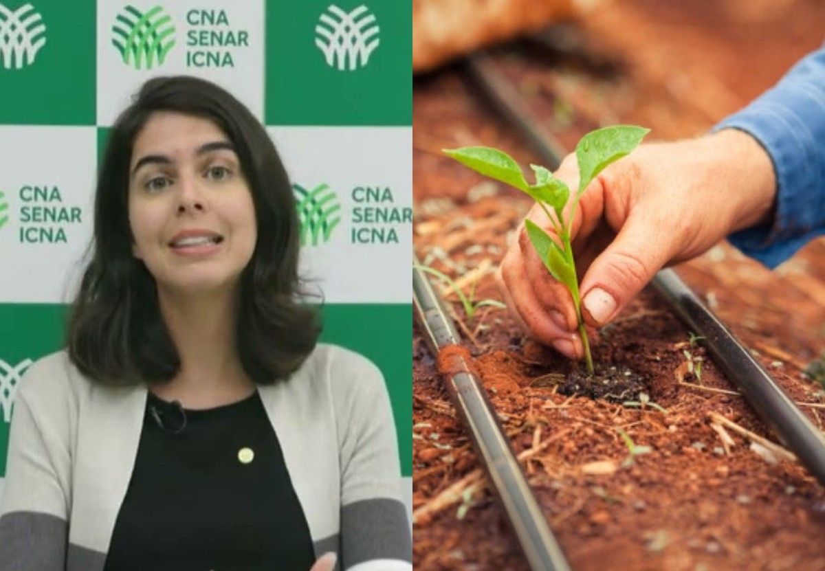 CNA reuniu federações estaduais para discutir regulamentação da Lei de Bioinsumos