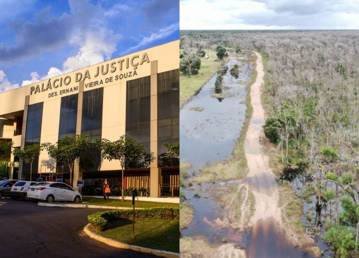 TJMT mantém condenação de pecuarista por crimes ambientais em área embargada no Pantanal mato-grossense