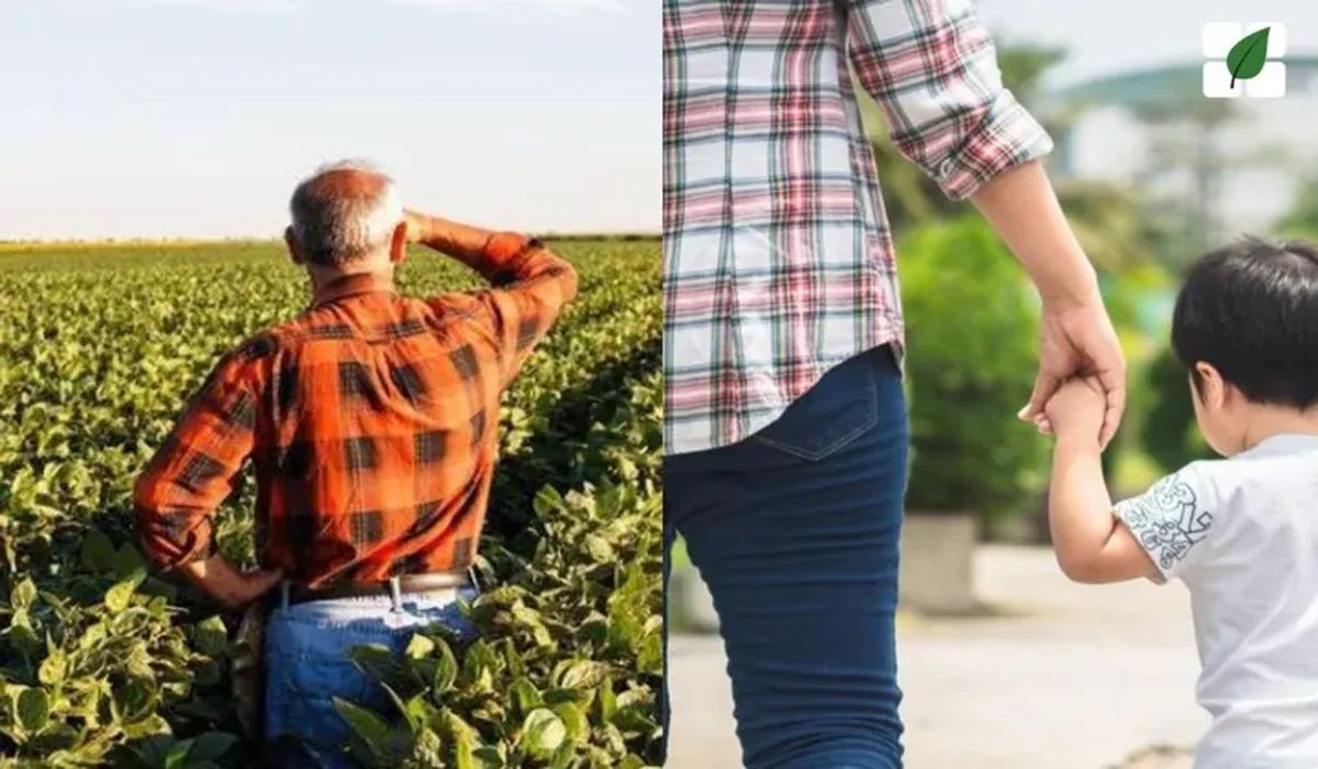 Nova lei equipara enteados e menores sob guarda a filhos para fins previdenciários no agronegócio