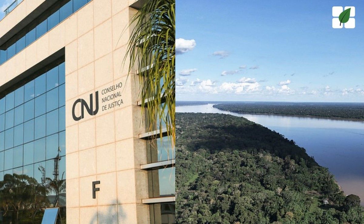 Judiciário movimenta 25 mil processos ambientais em semana temática, mas segurança jurídica no campo segue indefinida