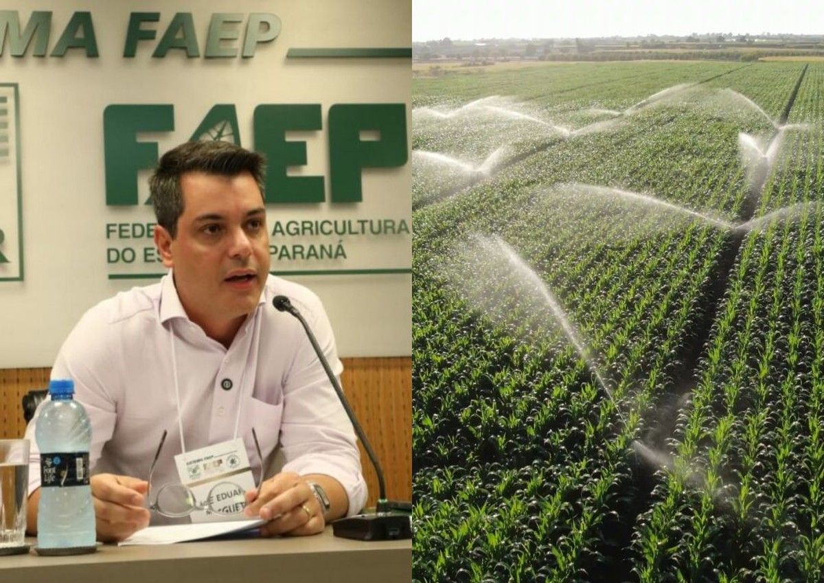 FAEP debateu sobre segurança jurídica e pauta ambiental
