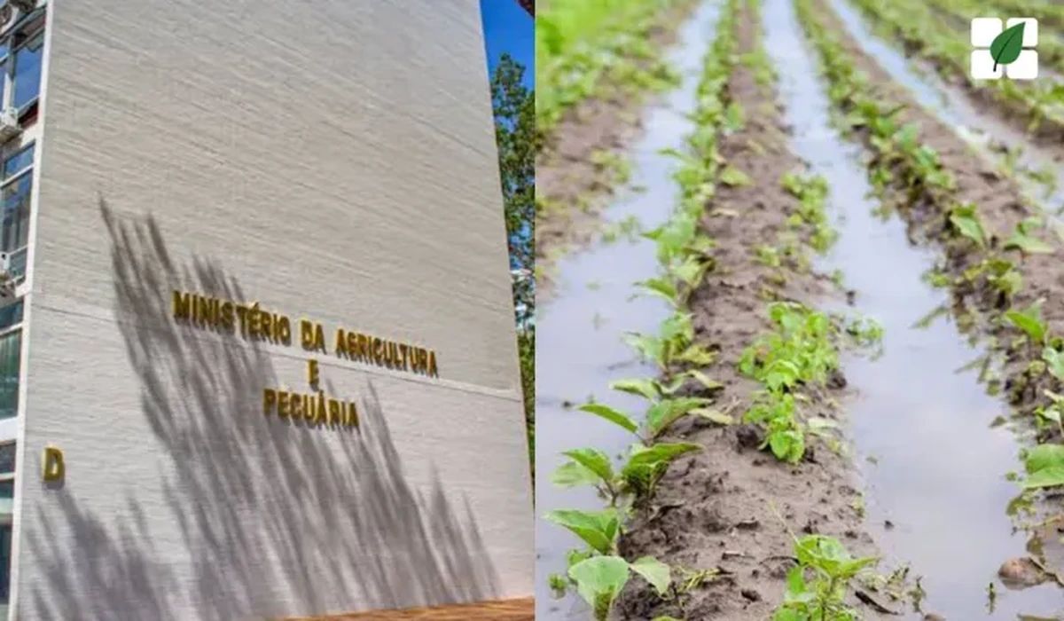 MAPA aprimora Zoneamento Agrícola: Portaria SPA/MAPA nº 114 entra em vigor com novas diretrizes climáticas
