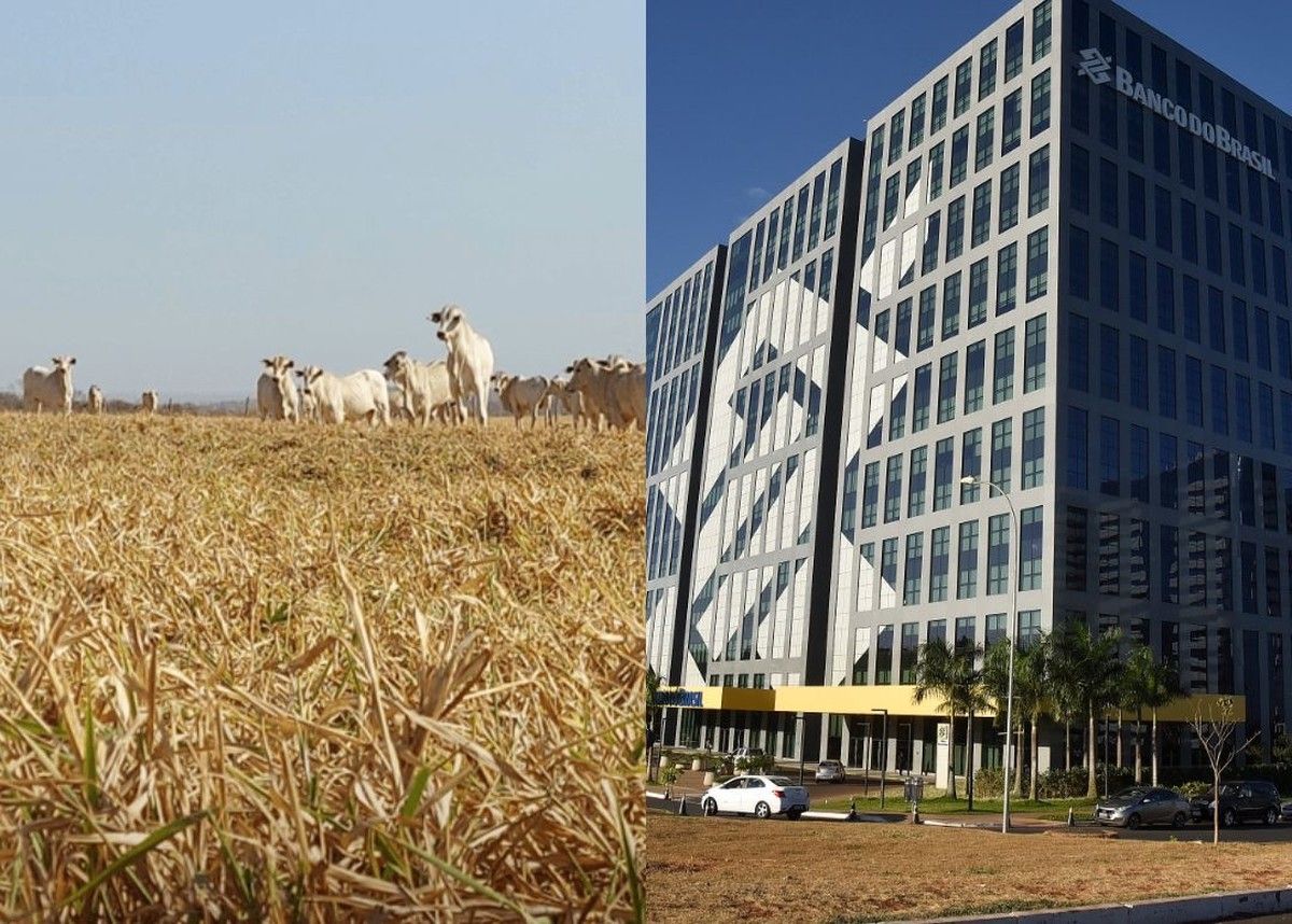 Justiça do Pará aplica Súmula 298 do STJ e suspende exigibilidade de dívida rural por frustração de safra