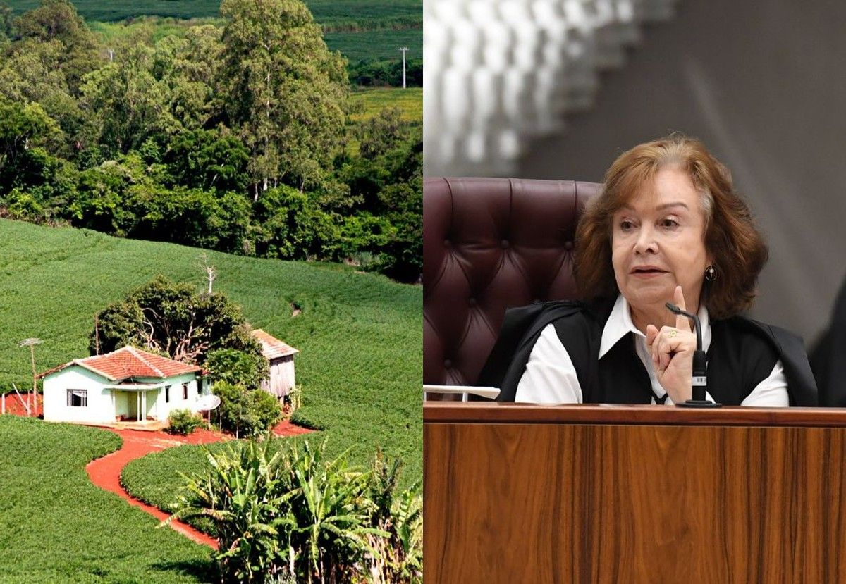 STJ nega usucapião em APP e ocupante perde área rural mesmo após 20 anos de posse