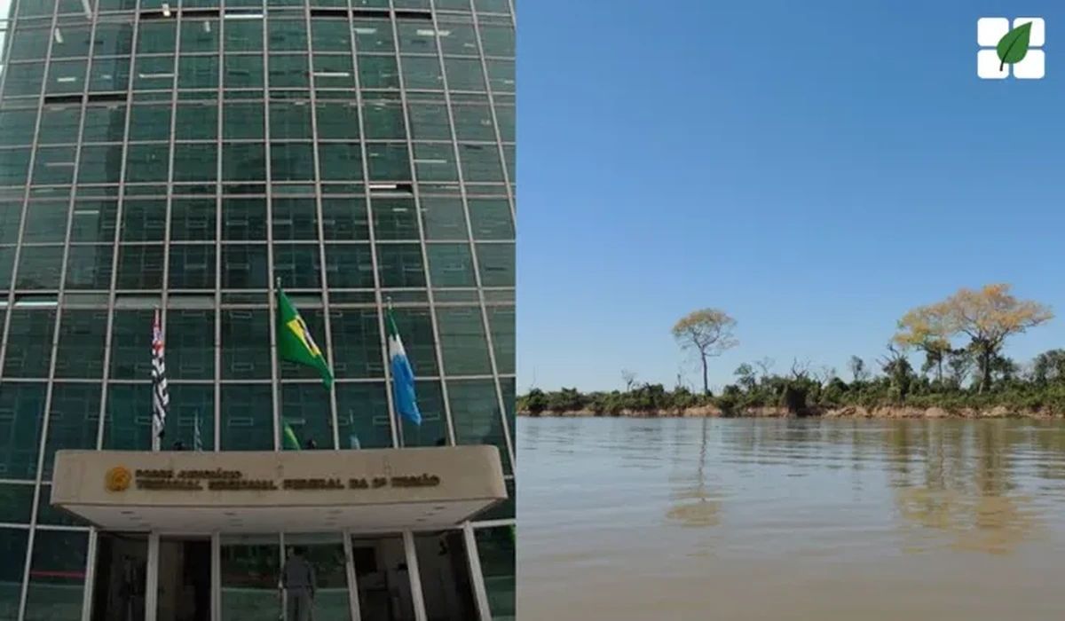 TRF3 determina bloqueio de bens de infratores ambientais e demolição de obras em unidades de conservação federais