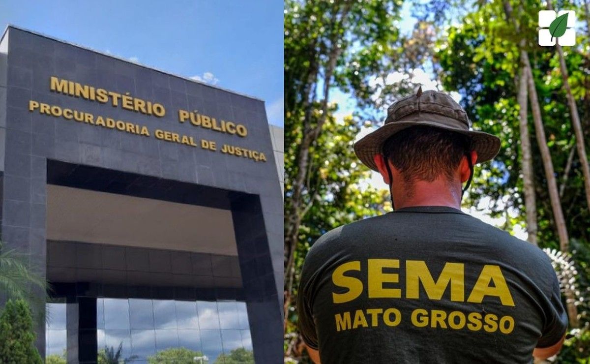 MPMT investiga autorização da Sema/MT para uso de vegetação nativa em planos de consumo florestal de empresas