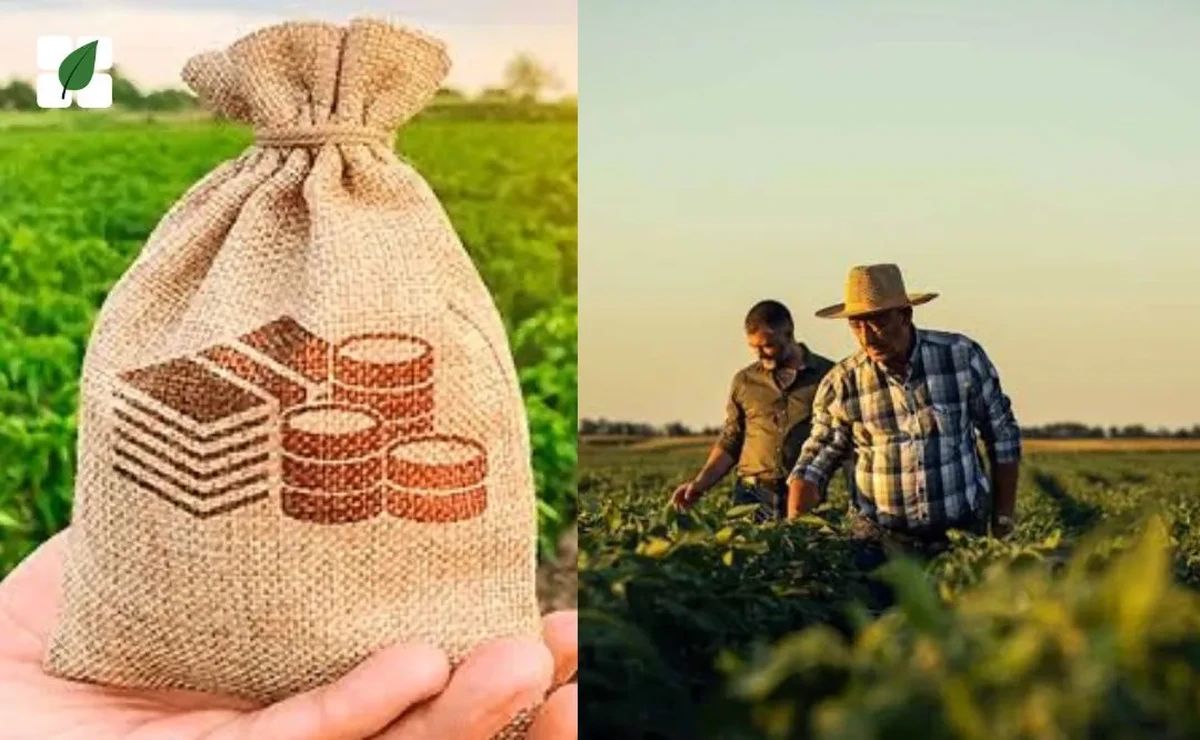 Inadimplência no agronegócio brasileiro cresce e atinge 4% das operações de crédito