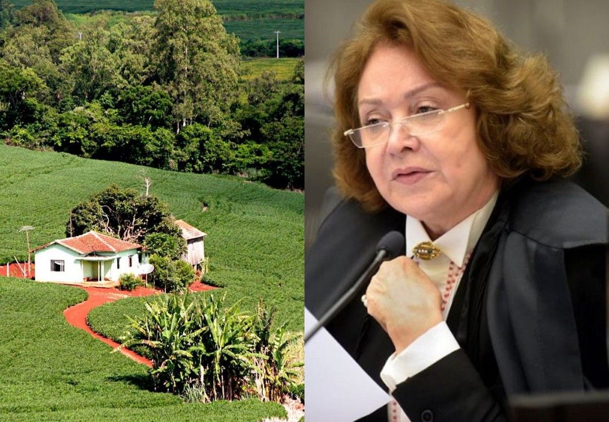 STJ decide que valor da causa em reintegração de posse por comodato é o do aluguel