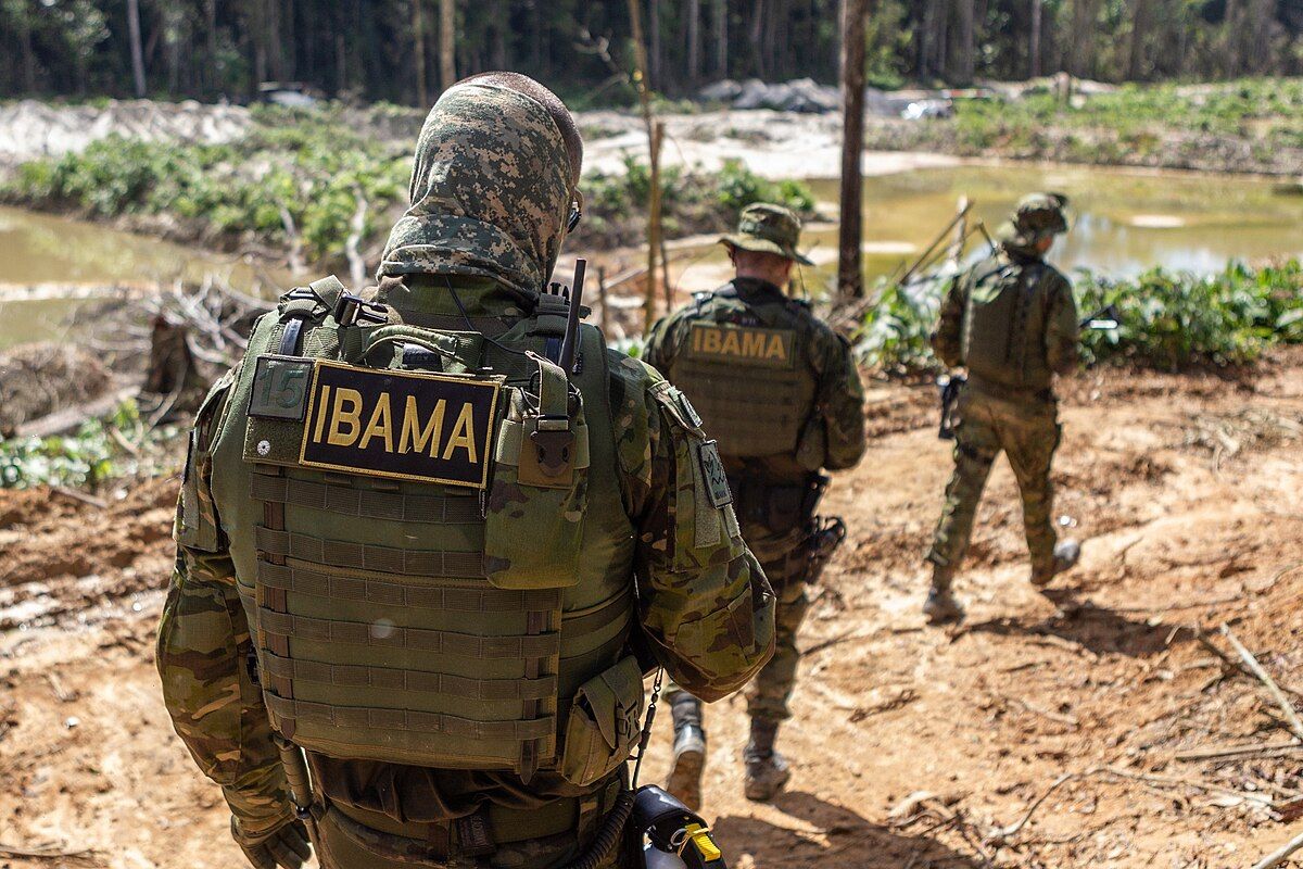 Ibama desmonta fraude em créditos florestais no MT