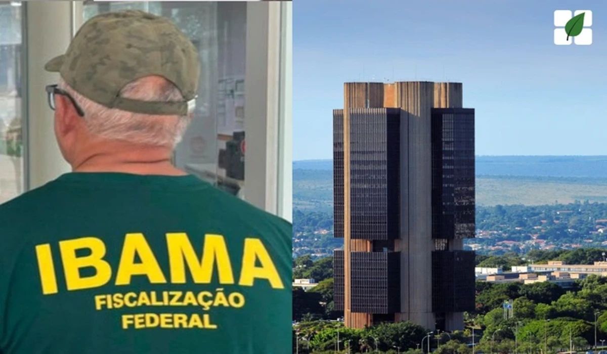 Ibama realizou Operação Caixa-Forte 2 que fiscalizou operações de crédito rural em oito estados