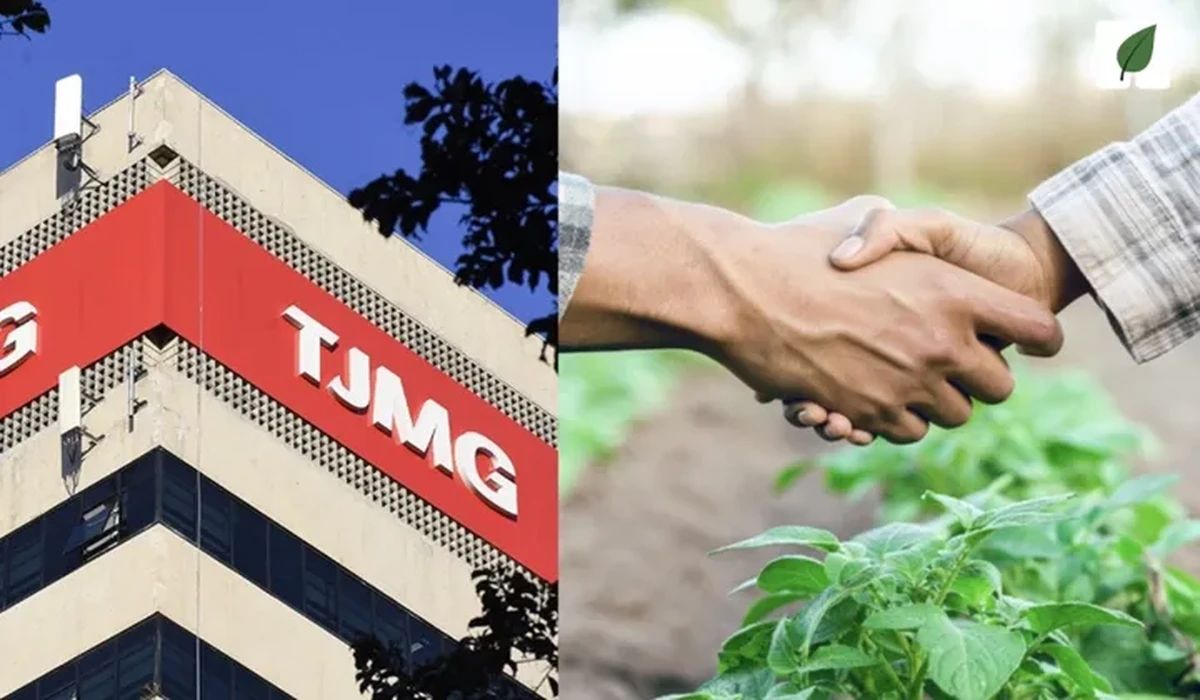 TJMG valida aval de pessoa física em cédula de crédito rural pignoratícia e afasta limitação prevista em decreto-lei