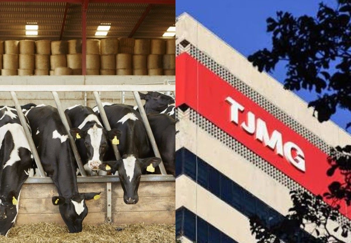 Justiça de MG suspende dívida rural renegociada e impede negativação de produtora leiteira