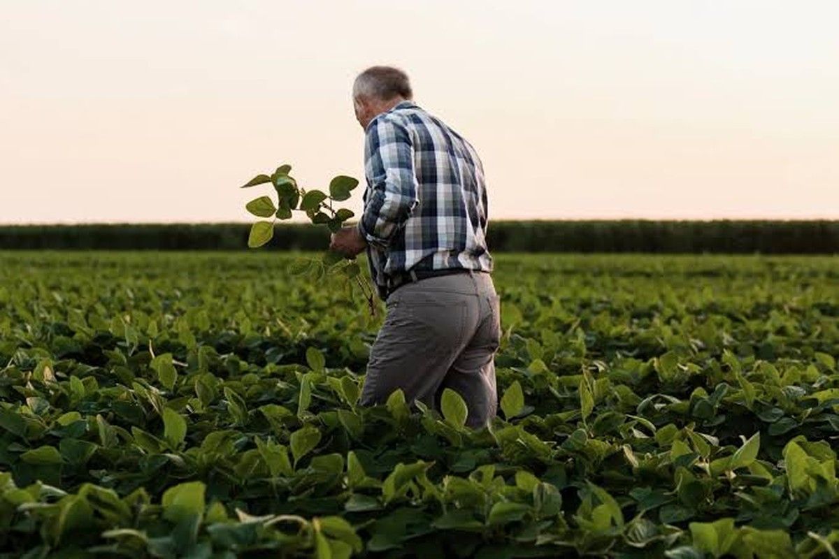 Judicialização no campo: aumento de ações por inadimplemento expõe desafios contratuais no agronegócio