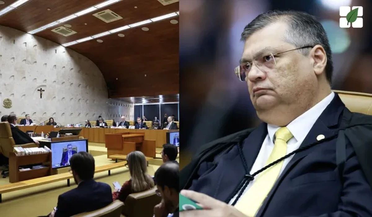 STF suspende 23 processos que afastavam embargos preventivos do IBAMA na Amazônia e no Pantanal