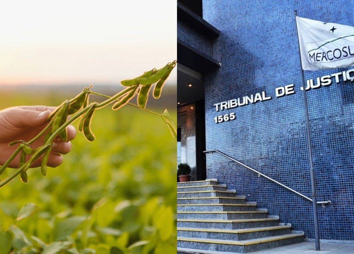 TJRS suspende cobrança de “créditos tecnológicos” da Bayer e Monsanto sobre soja