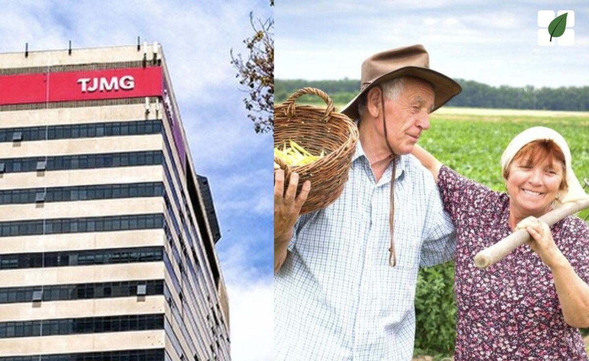 Justiça de MG reconhece trabalho rural de boia-fria sem registro em CTPS e concede aposentadoria híbrida com base em documentos do cônjuge