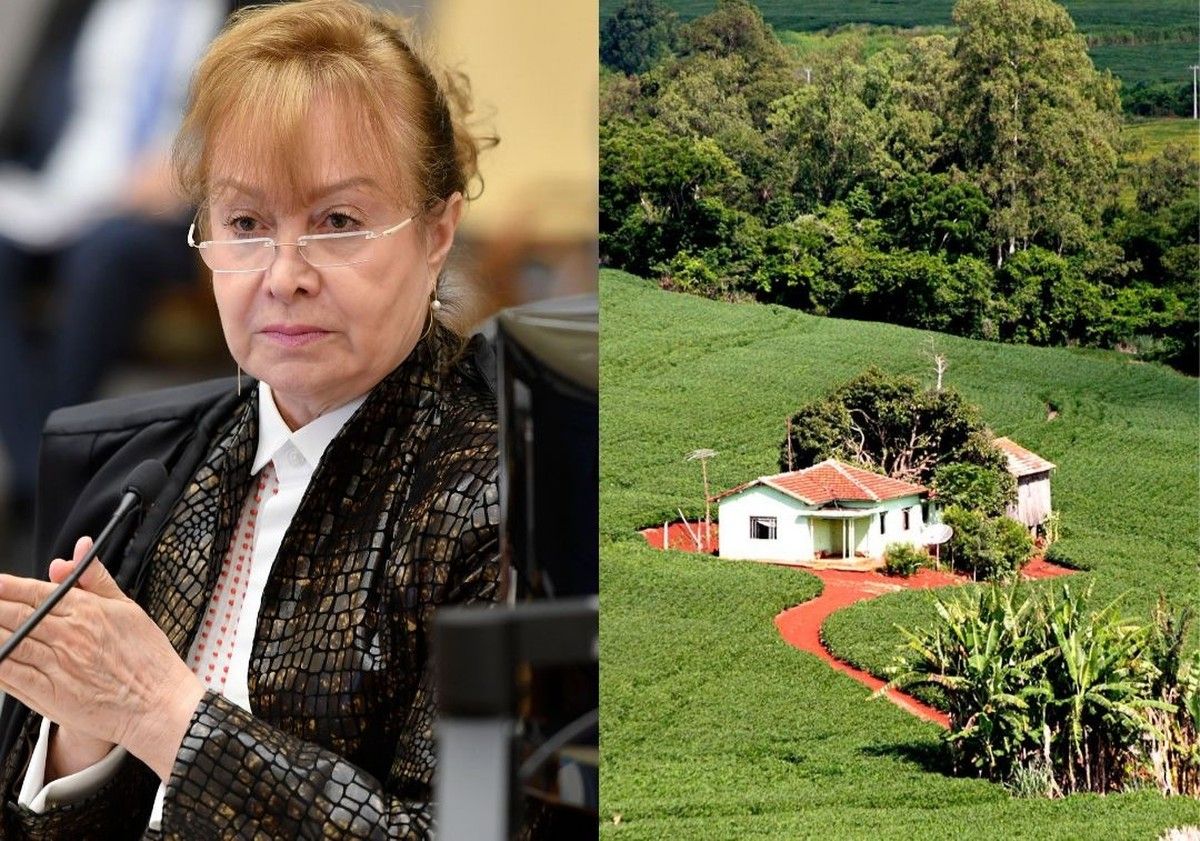 STJ extingue arrendamento rural após perda judicial do imóvel e nega sub-rogação ao novo proprietário