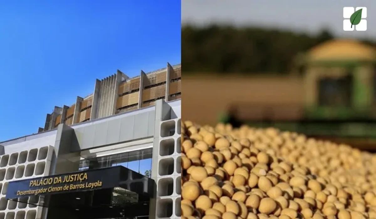 TJGO reconhece essencialidade de grãos vinculados a CPRs em recuperação judicial de produtores rurais