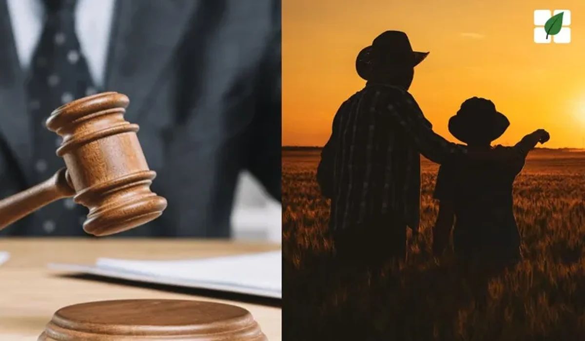 Justiça de Goiás aplica Tema 961 do STF e impede penhora de propriedade rural