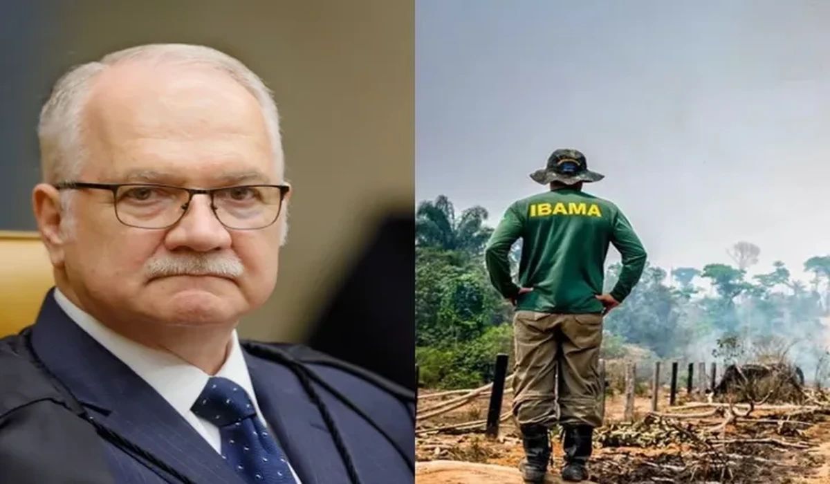 STF suspende processos de crimes ambientais contra espécies ameaçadas até definir competência jurisdicional