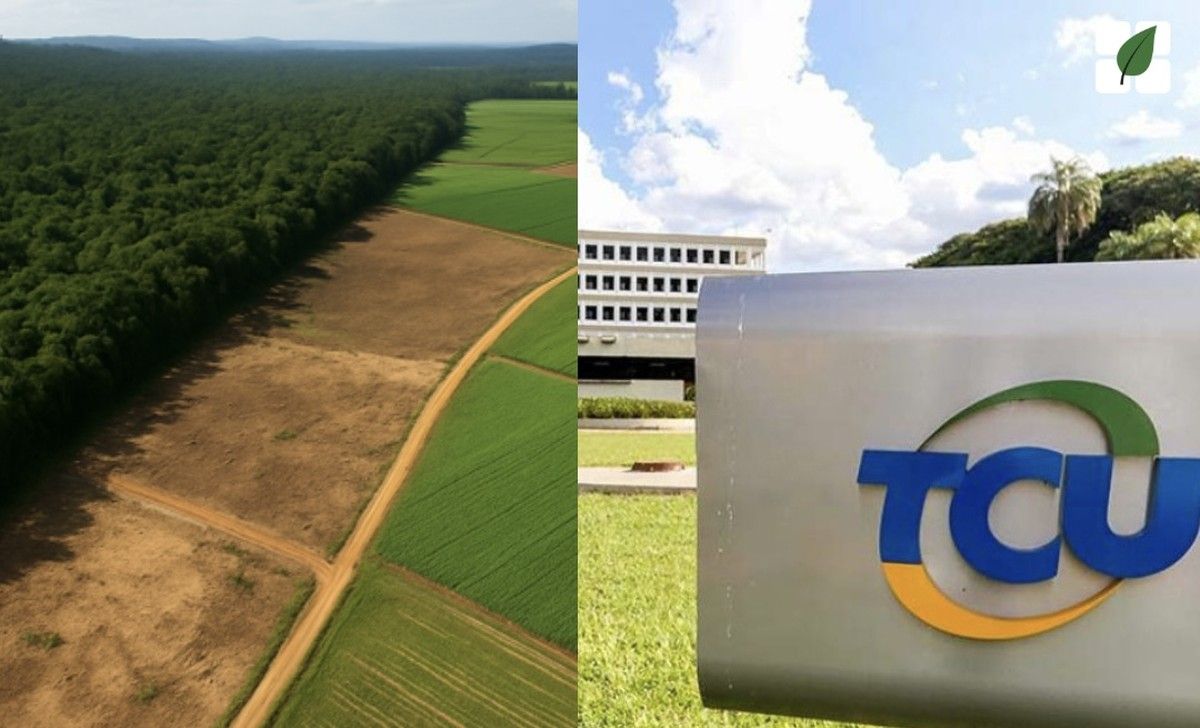 Auditoria do TCU identifica R$ 29,7 bi irregulares em crédito rural