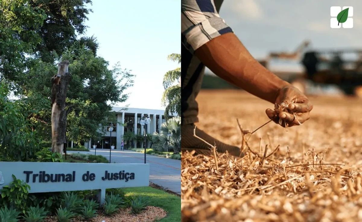 TJMS autoriza cobrança de dívida rural por pedido de prorrogação fora do prazo