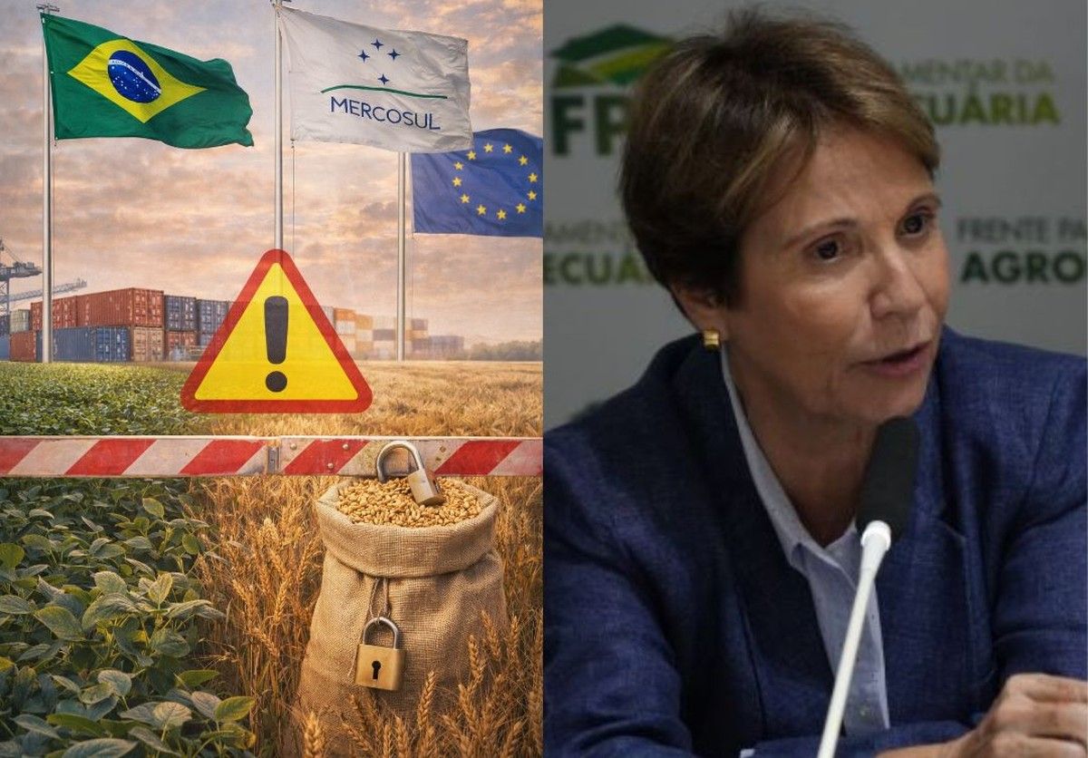 FPA alerta que salvaguardas do acordo Mercosul-UE podem restringir ganhos do agronegócio brasileiro