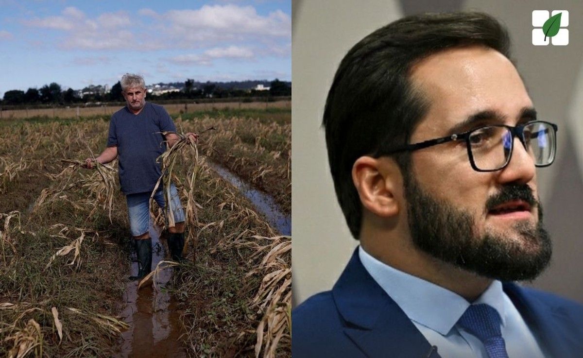 ABDAGRO denuncia no Senado falhas no crédito rural para produtores afetados pelo clima no RS