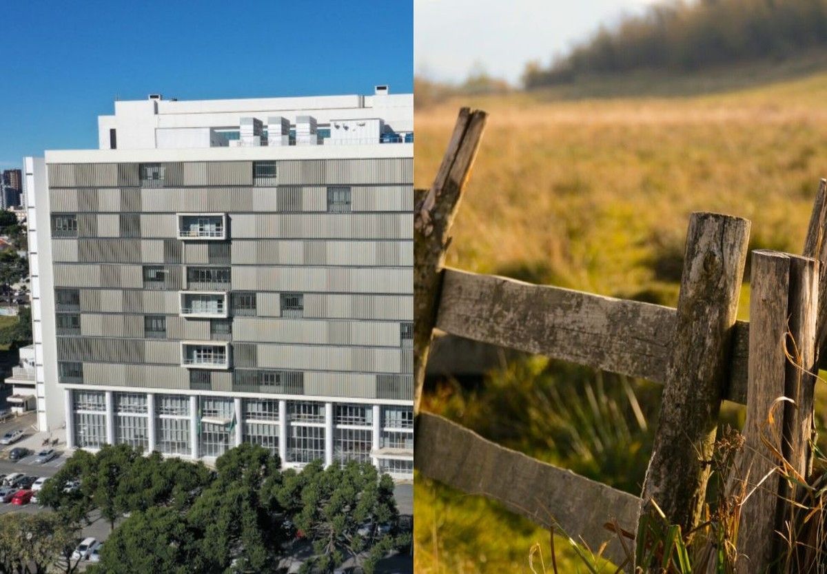 TJPR decide que ação de despejo rural prossegue contra produtor em RJ