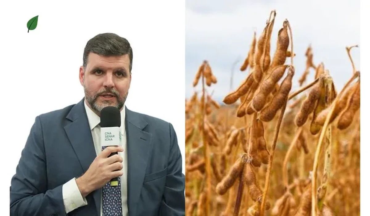 FPA contesta intervenção do governo na Moratória da Soja