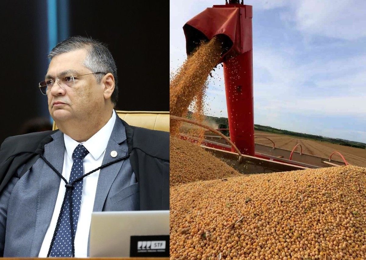 STF interrompe julgamento da ADI 7774 e mantém suspensão de processos da Moratória da Soja