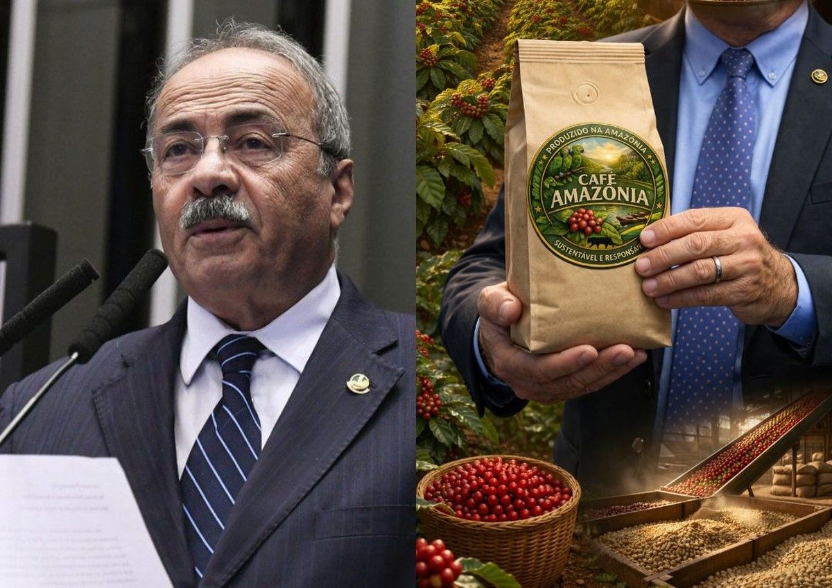 Senado aprova PL que cria certificação de sustentabilidade para café produzido na Amazônia Legal