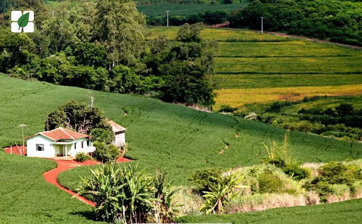 TJGO reconhece venda casada em contrato de crédito rural e anula cobrança de seguro obrigatório sem escolha do produto