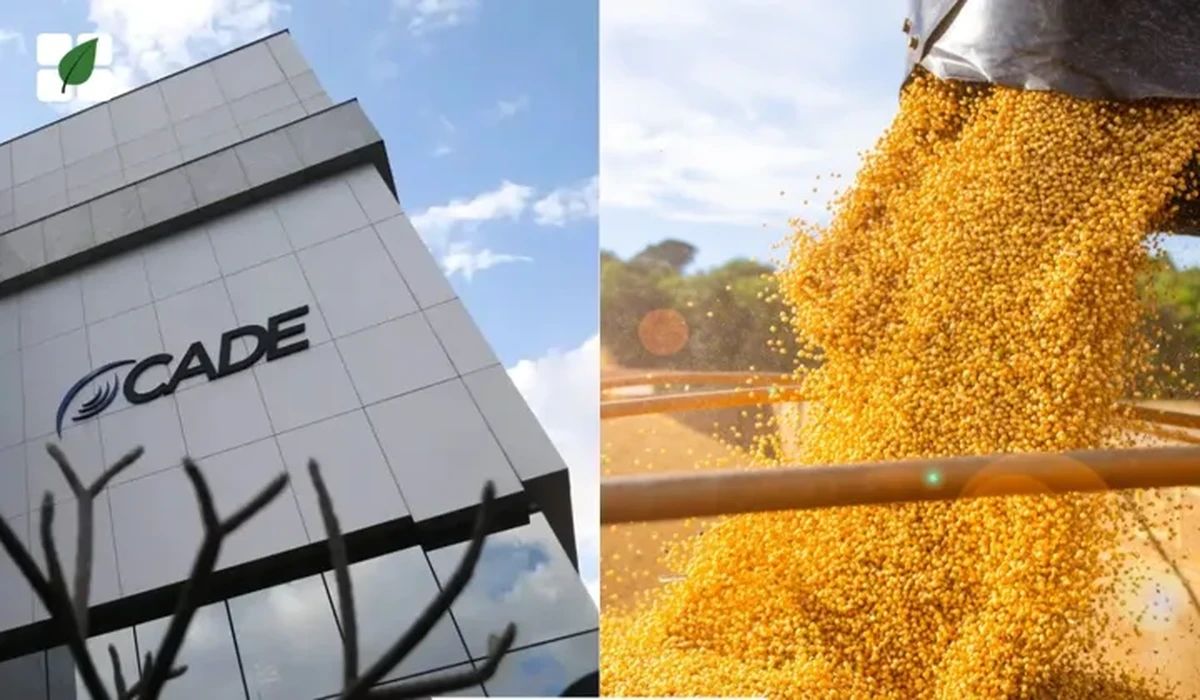 Justiça Federal suspende decisão do Cade contra Moratória da Soja