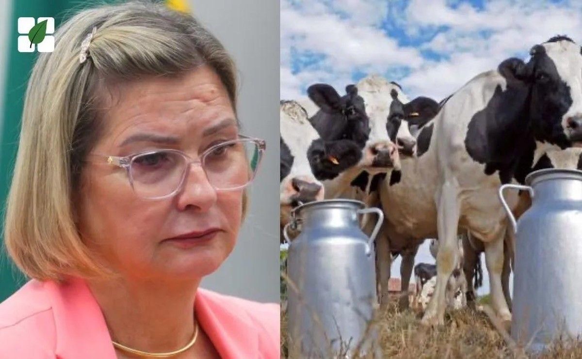 Comissão aprova projeto que obriga laticínios a informar preço do leite antecipadamente ao produtor