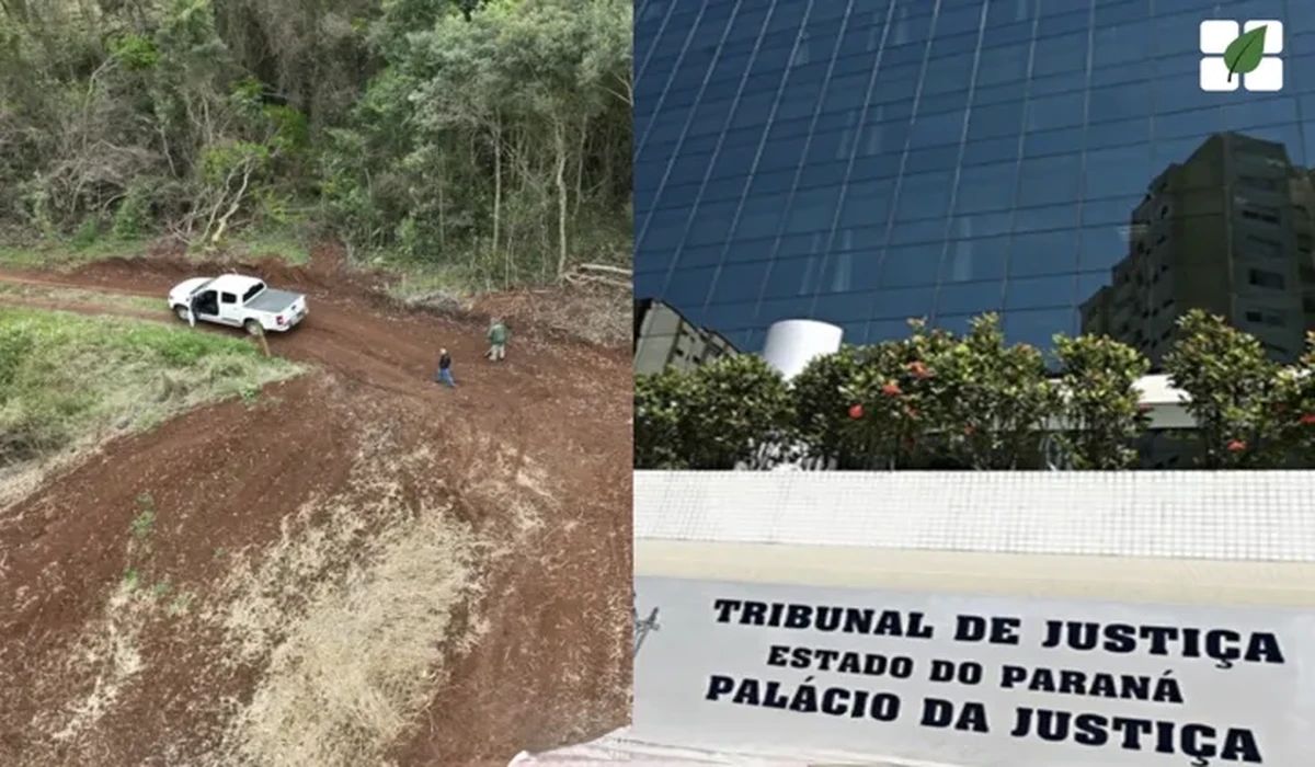 TJPR mantém condenação de produtor por desmatamento em área de Mata Atlântica e autoriza cancelamento do CAR mesmo com PRAD em andamento