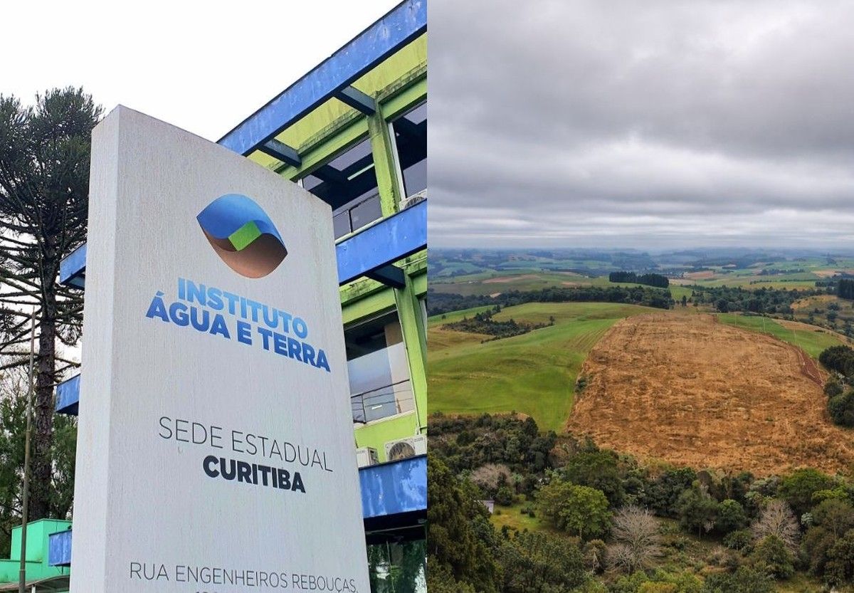 Paraná dispensa licenciamento ambiental para 27 atividades agrícolas de baixo impacto
