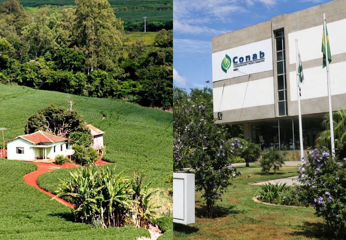 Justiça impede penhora da CONAB sobre imóvel rural de produtora rural