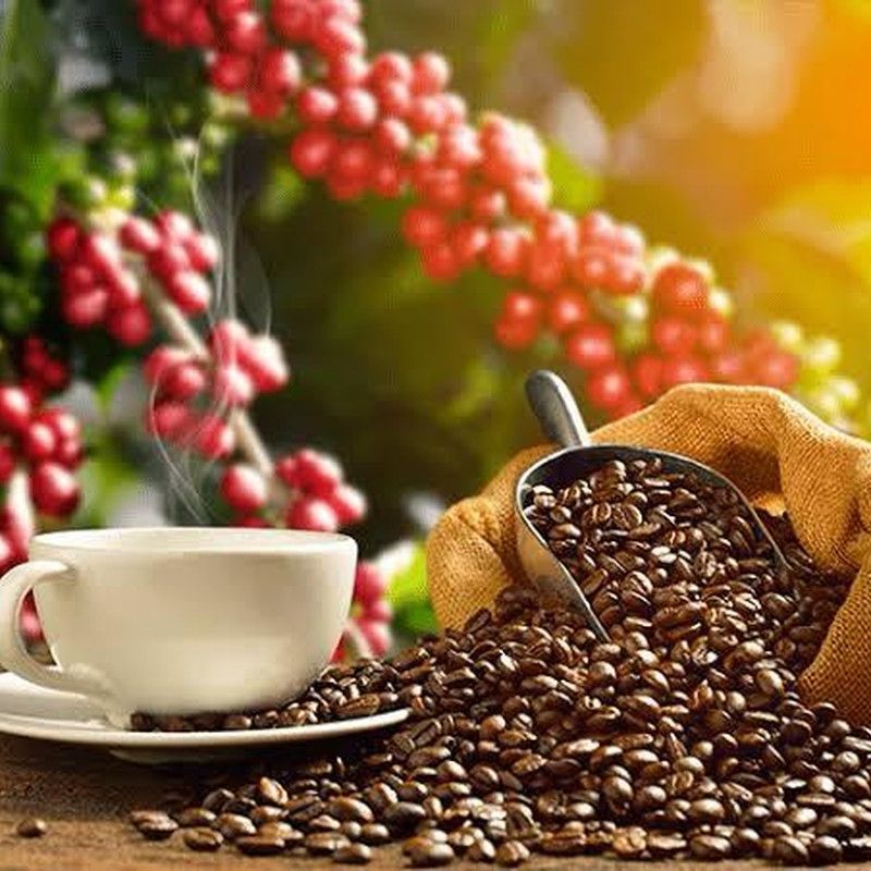 O que a alta do café revela sobre os riscos contratuais?
