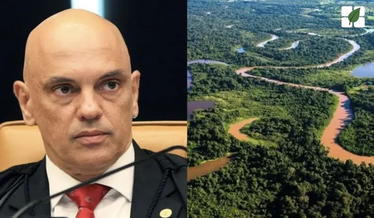 STF suspende requisitos sobre unidades de conservação em propriedades em MT