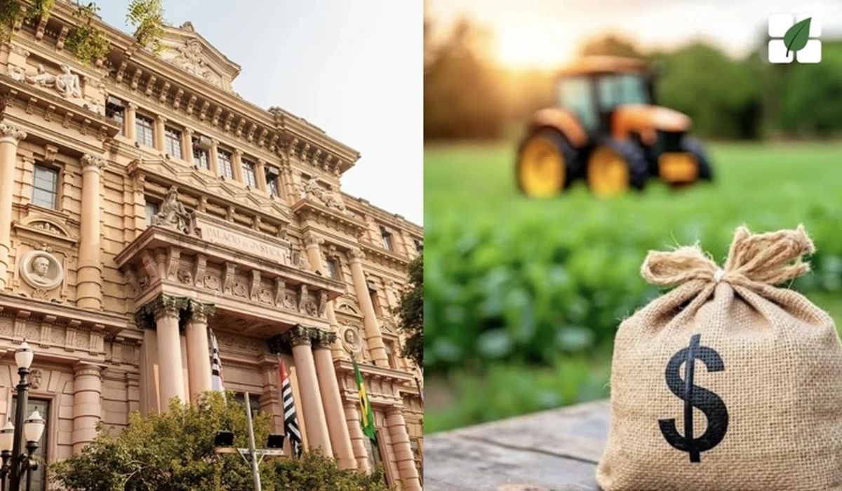 TJ/SP reconhece direito a alongamento de dívida rural em cédula de crédito bancário