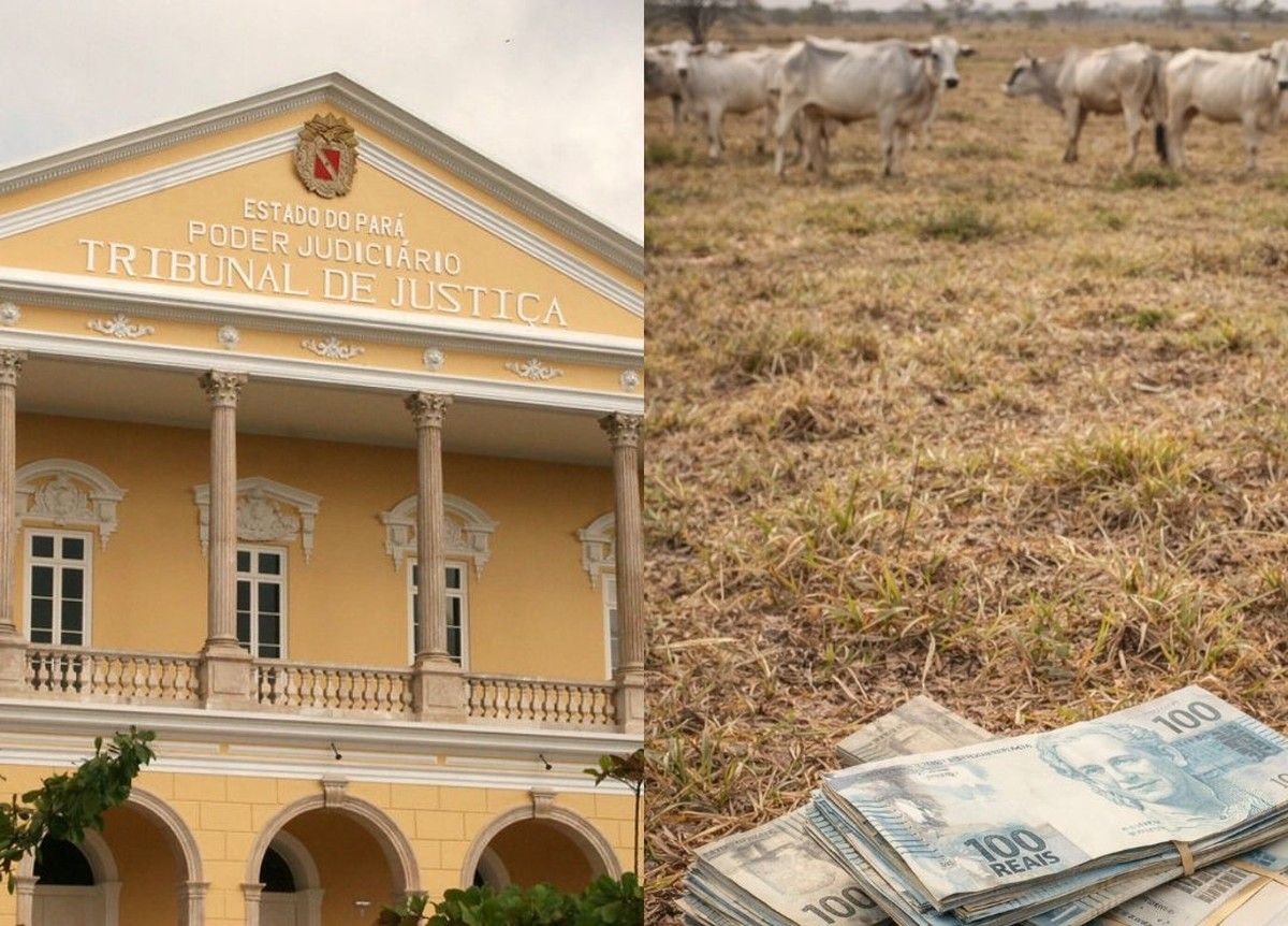 TJPA defere tutela de urgência para alongamento de dívida rural por 3 anos