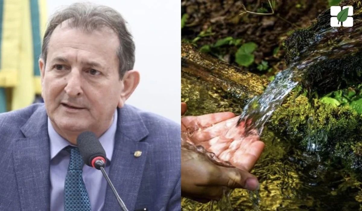Comissão da Câmara aprova ampliação do conceito de nascente no Código Florestal