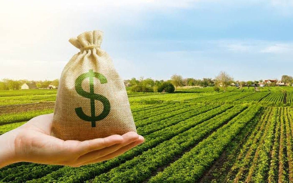 A Resolução CMN nº 5.220/2025 e a reestruturação do Crédito Rural para o Rio Grande do Sul