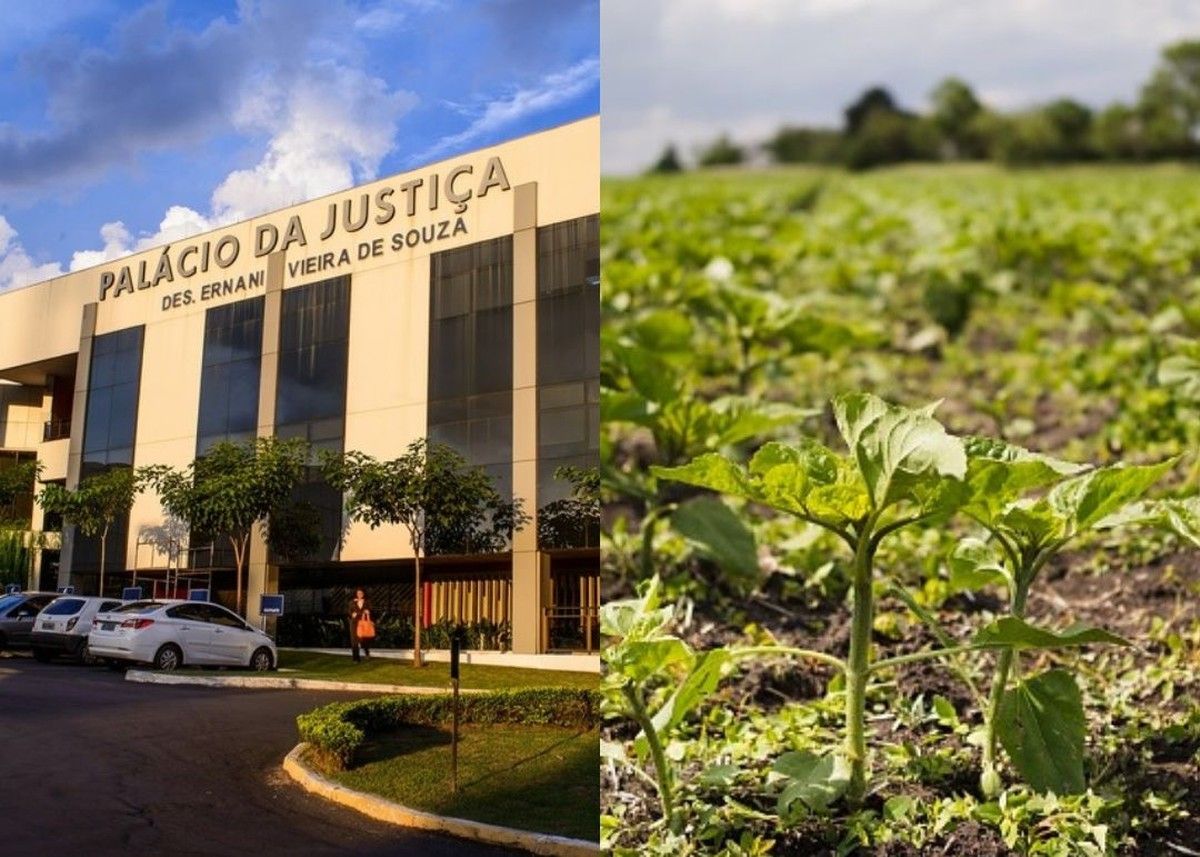 TJMT limita o stay period sobre fazendas de terceiros usadas por grupo