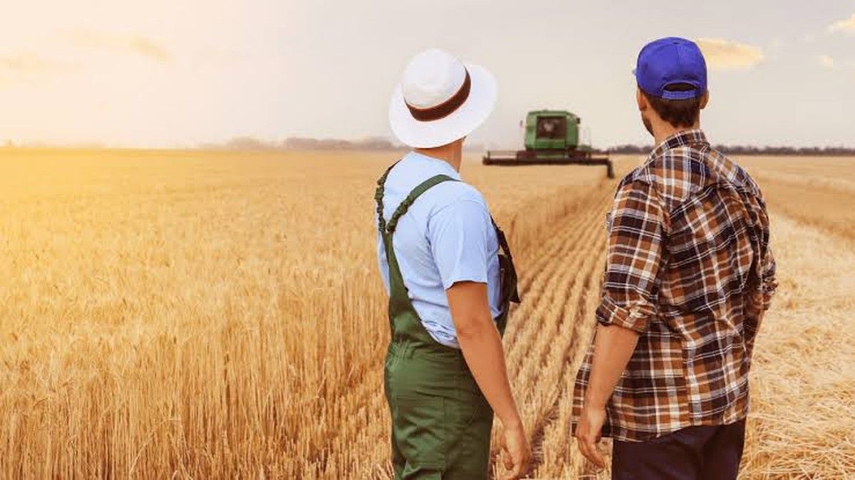Arrendatários lideram pedidos de recuperação judicial no agro